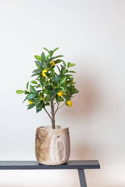 Kunstpflanze Citrus Limonia – Zitronenbaum – 72cm – Hochwertiger künstlicher Baum mit naturgetreuen Blättern & realistischen Früchten – Immergrüne Dekopflanze für Wohnzimmer, Küche & Büro – Pflegefrei & langlebig