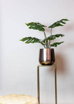 Kunstpflanze Monstera Deliciosa ↕65cm – künstliche Grünpflanze für Wohnzimmer, Büro, Flur & pflegeleichte Deko