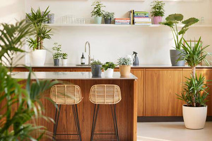 Topf Brüssel Rund Weiß – D20 x H19 – Moderner Pflanztopf aus Kunststoff – Leicht & langlebig – Für Zimmerpflanzen & Outdoor