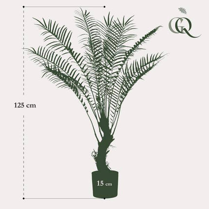 Kunstpflanze Baumfarn – künstlicher Farnbaum – ca. 125cm hoch – naturgetreue Zimmerpflanze für Wohnzimmer, Büro & Deko