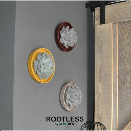 Sukkulente – Echeveria lilacina ROOTLESS – Ø20cm Schale „Taupe“ – Zimmerpflanze ohne Wurzeln – Pflegeleichte Schnitt-Sukkulente als Tischdeko & Geschenkidee