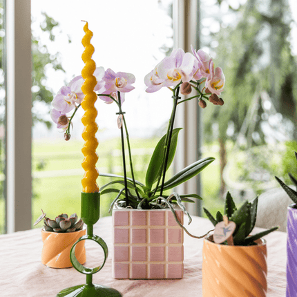 Mosa Ziertopf – Rosa – Ø9cm – Moderner Dekotopf aus der Trendkollektion Colourful Optimism – Stylischer Pflanzentopf für Zimmerpflanzen, Sukkulenten & Kakteen – Wohnaccessoire für kreative Dekoration