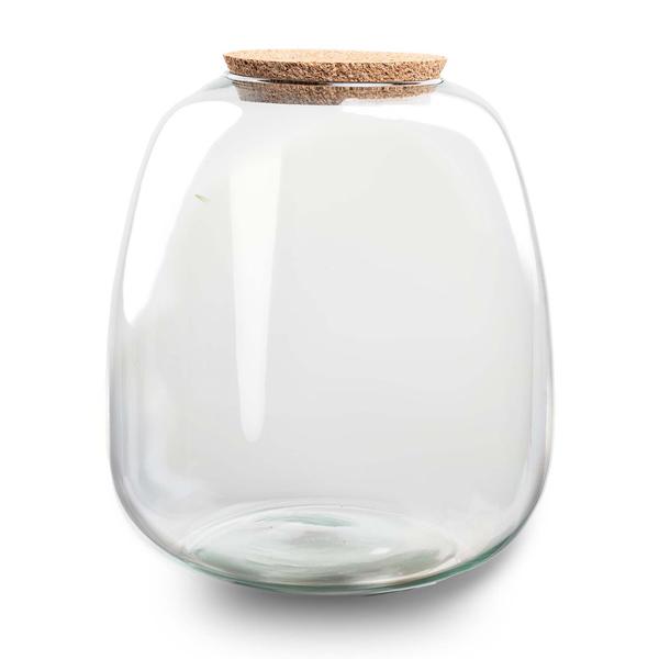 Terrarium Flasche Emma – Glasflasche 25x23cm – Dekoglas für Pflanzenterrarium, Flaschengarten & kreative Bepflanzungen – Deko