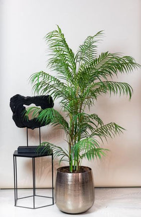 Kunstpflanze Chamaedorea Elegans ↕120cm – künstliche Grünpflanze für Wohnzimmer, Büro, Flur & pflegeleichte Deko
