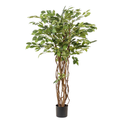 Ficus Liana – Künstliche Zimmerpflanze – ↕140 cm – Realistische Stiefmütterchen-Pflanze – Dekoration für Wohnzimmer, Flur & Wintergarten