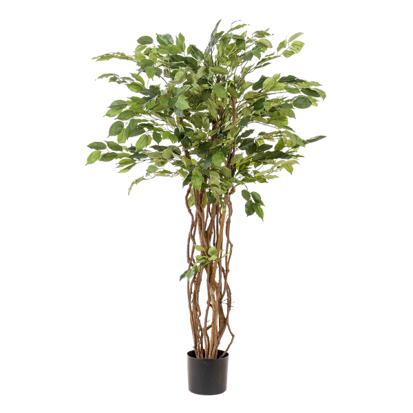 Ficus Liana – Künstliche Zimmerpflanze – ↕140 cm – Realistische Stiefmütterchen-Pflanze – Dekoration für Wohnzimmer, Flur & Wintergarten
