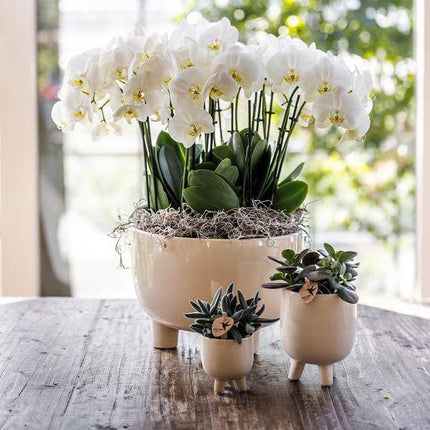 Blumentopf Gummitopf Travertin – Ø9cm – Dekorativer Keramik Übertopf – Moderner Pflanztopf für kleine Zimmerpflanzen – Stilvolle Innendeko