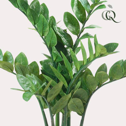 Kunstpflanze Zamioculcas – Zimmerpalme – 70cm – Hochwertige künstliche Pflanze mit naturgetreuen Blättern – Immergrüne Dekopflanze für Wohnzimmer, Büro & Innenräume – Pflegefrei & langlebig