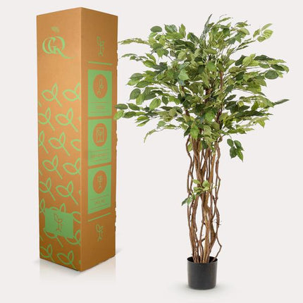 Ficus Liana – Künstliche Zimmerpflanze – ↕140 cm – Realistische Stiefmütterchen-Pflanze – Dekoration für Wohnzimmer, Flur & Wintergarten