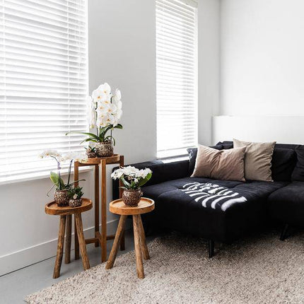 Kombi-Angebot Safari Ziertöpfe 3er Set – Ø6cm, Ø9cm & Ø12cm – Stilvolle Pflanztöpfe für Zimmerpflanzen – Exotisches Dschungel-Design