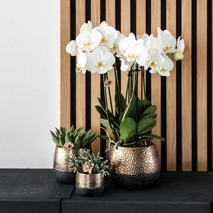 Blumentopf Elite Kupfer – Ø9cm – Moderner Keramik Übertopf – Dekorativer Pflanztopf für kleine bis mittelgroße Zimmerpflanzen – Stilvolle Innendeko