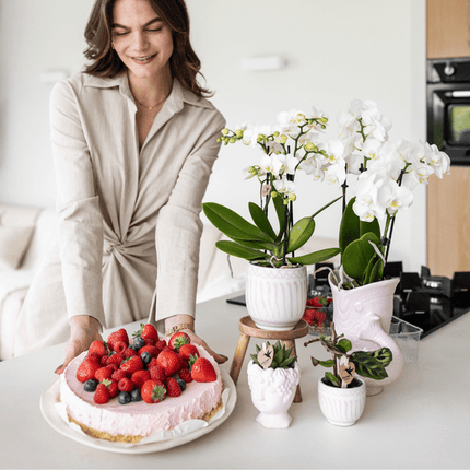 Topf Granada – Rosa – Ø6cm – Dekorativer Keramiktopf – Mediterranes Design – Glasiert & langlebig – Für Zimmerpflanzen & Deko