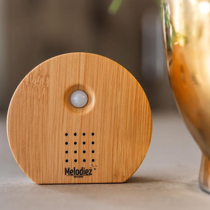 Melodiez Spieluhr Holz – Melody Nature Box mit Bewegungsmelder – Naturklänge wie Vogelgezwitscher, Meeresrauschen & Dschungel