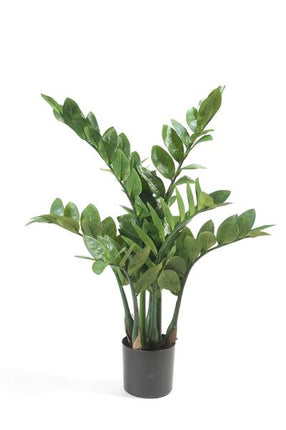 Kunstpflanze Zamioculcas – Zimmerpalme – 70cm – Hochwertige künstliche Pflanze mit naturgetreuen Blättern – Immergrüne Dekopflanze für Wohnzimmer, Büro & Innenräume – Pflegefrei & langlebig