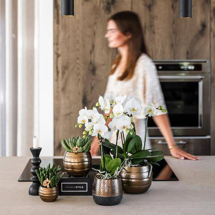 Blumentopf Elite Kupfer – Ø9cm – Moderner Keramik Übertopf – Dekorativer Pflanztopf für kleine bis mittelgroße Zimmerpflanzen – Stilvolle Innendeko