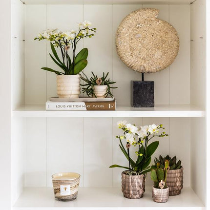 Dekotopf Marmor – Hell – Ø9cm – Keramik Blumentopf in Marmoroptik – Zeitloses Design – Für Zimmerpflanzen, Orchideen & Sukkulenten
