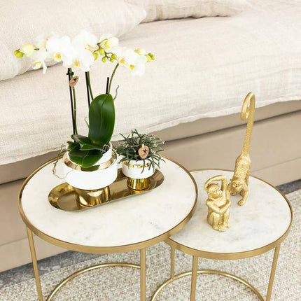 Ovales Tablett – Gold – Metalltablett 30x13cm – Dekoteller für Pflanzen, Töpfe & Wohnaccessoires – Stilvolle Ablage für Orchideen & Deko – Sets