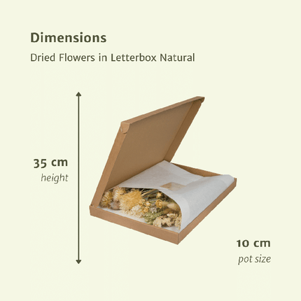 Trockenblumen im Briefkasten – Natur – Getrockneter Blumenstrauß – Beige, Weiß & Rosa – langlebig & pflegefrei – Geschenkidee – 25-30cm