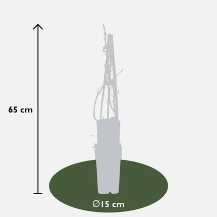 Kletter-Hortensie – Hydrangea petiolaris – Ø15cm – ca. 65cm hoch – Winterharte & pflegeleichte Kletterpflanze mit weißen Blüten – Für Fassade, Mauer & Pergola