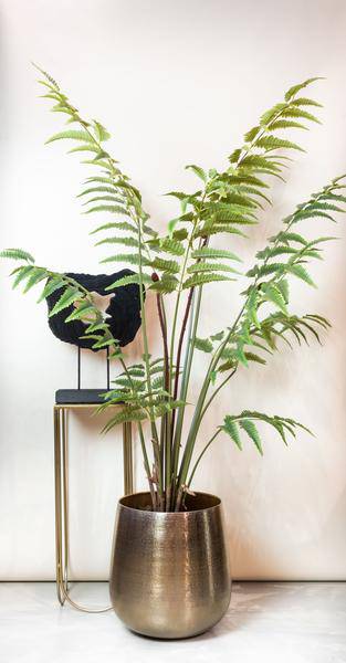 Kunstpflanze Rumohra Adiantiformis – Lederfarn – 180cm – Hochwertige künstliche Farnpflanze mit naturgetreuen Blättern – Immergrüne Dekopflanze für Wohnzimmer, Büro & Innenräume – Pflegefrei & langlebig