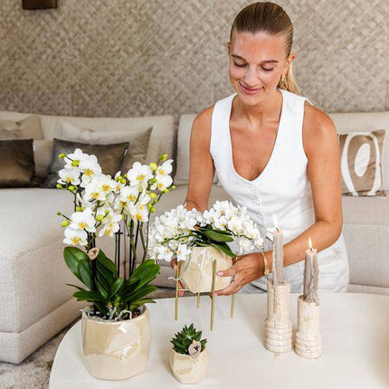 Pearl Blumentopf glänzend in Blau, Grün, Rosa oder Travertin – Eleganter Übertopf Ø6cm Ø9cm Ø12cm – Pflanzgefäß für Zimmerpflanzen & Deko