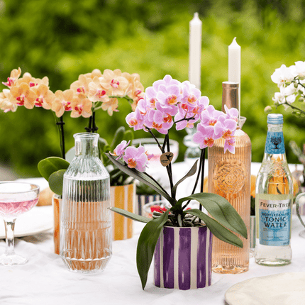 Ziertopf Painted Stripe – Flieder – Ø9cm – Moderner Keramiktopf mit Streifenmuster – Stilvolles Wohnaccessoire für Zimmerpflanzen, Sukkulenten & Kakteen