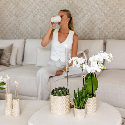 Diamant Perlen Dekotopf – Travertin – Ø9cm – Moderner Blumentopf in Steinoptik – Eleganter Dekotopf für Zimmerpflanzen, Kakteen & Sukkulenten – Stilvolles Wohnaccessoire