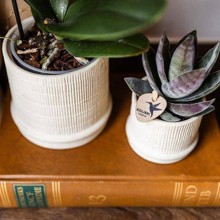 Bali Blumentopf Off White Ø9cm – Dekorativer Keramiktopf mit Rillenstruktur – Moderner Pflanzentopf im minimalistischen Design – Stilvolle Blumendeko für Wohnzimmer, Küche & Büro