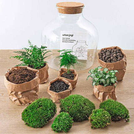 Flaschengarten DIY Set Fat Joe Grün ↕30cm – pflegeleichter Flaschengarten im Glas, Pflanzen Terrarium für Wohnzimmer & Büro