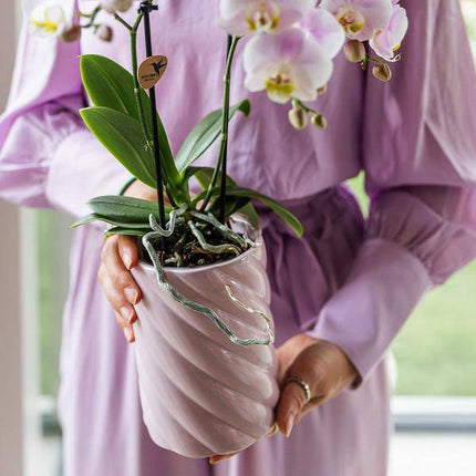 Candy Dekotopf – Hoch – Rosa – Ø9cm – Keramik Übertopf – Runde Form – Farbenfrohes Design – Für Zimmerpflanzen & Orchideen