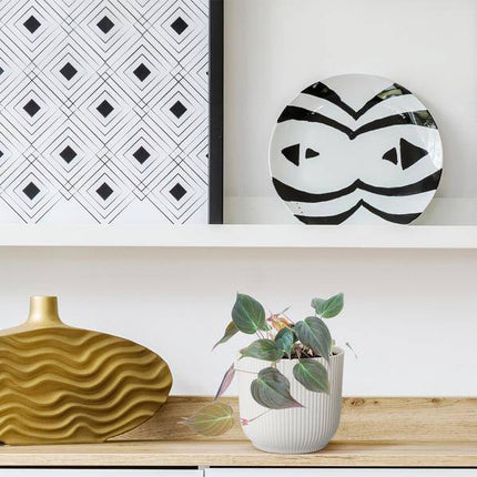 Philodendron scandens 'Micans' – Baumfreund – Zimmerpflanze ↕25cm – Ø12cm – Herzblatt-Philodendron mit samtigen Blättern – Hänge- & Kletterpflanze für Wohnzimmer & Büro