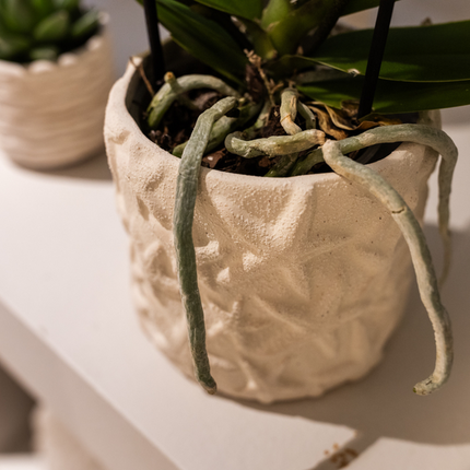 Star Fish Blumentopf Off White Ø9cm – Dekorativer Keramiktopf mit Seestern-Muster – Sommerlicher Pflanzentopf im maritimen Design – Blumendeko für Wohnzimmer, Küche & Bad