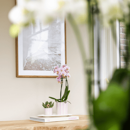 Ziertopf Gemalte Streifen – Rosa – Ø6cm – Keramik Blumentopf in glänzender Optik – Verspieltes Streifenmuster – Für kleine Pflanzen & Sukkulenten