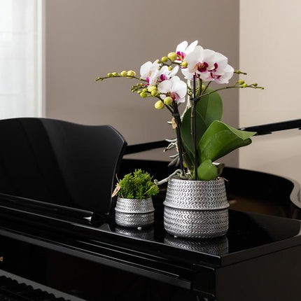 Blumentopf Rille – Gold – Ø6cm – Kleiner Keramik-Ziertopf mit Rillenstruktur – Matte Oberfläche – Für Mini-Pflanzen & Sukkulenten – Dekotopf für Wohnzimmer & Büro