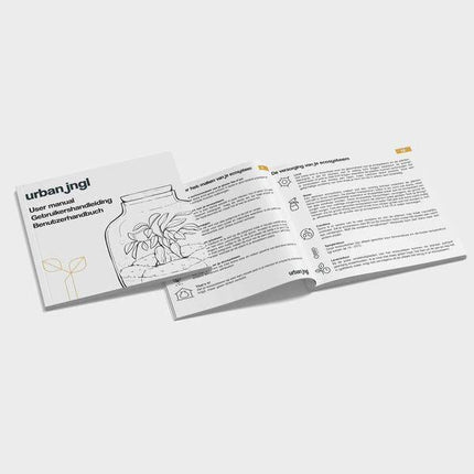 Flaschengarten Set – Calathea Lancifolia – DIY Terrarium Starter-Kit & Nachfüllpack – Mini-Ökosystem mit Fittonia & Blumenzwiebeln – Inkl. Anleitung & Zubehör