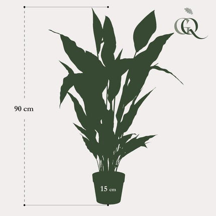 Spathiphyllum – Löffelpflanze – Künstliche Zimmerpflanze – Wartungsfrei – Ø90cm – Deko für Wohnzimmer, Büro & Küche
