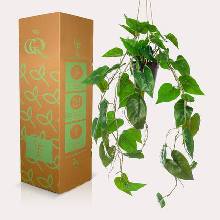 Kunstpflanze Philodendron Hängepflanze – 80cm Länge – Realistische künstliche Zimmerpflanze – Immergrün & pflegeleicht – Für Wohnzimmer, Büro & Dekoration