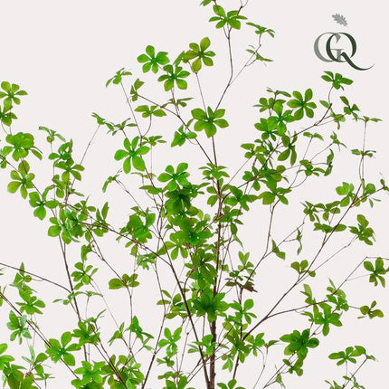 Kunstpflanze Tropaeolum speciosum – Ostindische Kirsche – 210 cm – Realistischer Kunstbaum – Pflegefrei – Für Büro, Wohnzimmer & Wintergarten – Dekobaum mit Natur-Look