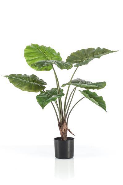 Kunstpflanze Alocasia Frydek – Elefantenohr – 70cm – künstliche Pflanze mit grünen Blättern – Deko-Pflanze für Zimmer & Büro – pflegefrei
