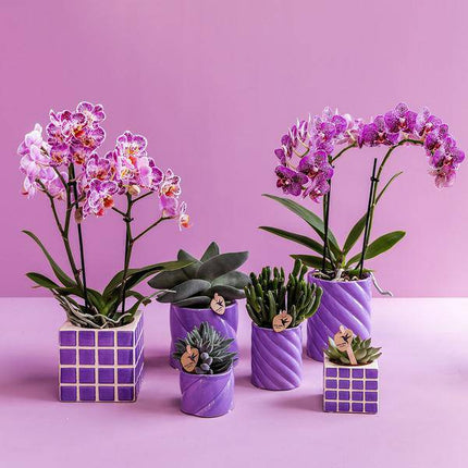 Candy Blumentopf Flieder Ø9cm – Dekorativer Keramiktopf in moderner runder Form – Pflanzentopf für Orchideen, Sukkulenten & Grünpflanzen – Stilvolle Blumendeko für Wohnzimmer, Küche & Büro
