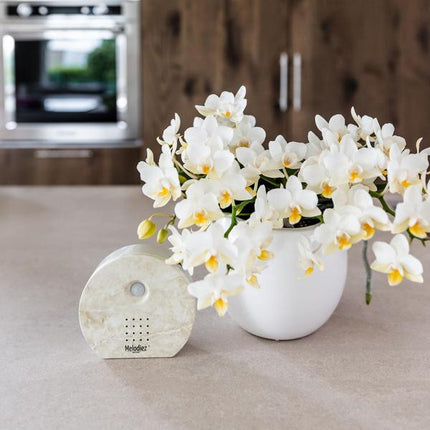 Melodiez Spieluhr Naturstein – Melody Nature Box – Klangbox mit Bewegungsmelder – Vogelgesang, Meeresrauschen & Dschungelklänge – Entspannung & Geschenkidee