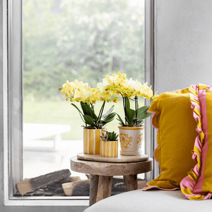 Blumentopf Malaga – Gelb – Ø9cm – Dekorativer Keramiktopf im mediterranen Stil – Handgefertigte Optik – Ideal für Zimmerpflanzen & Sukkulenten