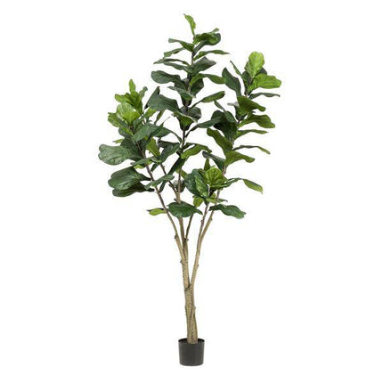 Kunstpflanze Ficus lyrata – Tabakpflanze / Geigenblattpflanze – ca. 210cm hoch – XXL künstliche Zimmerpflanze mit großen Blättern – Dekopflanze für Wohnzimmer & Büro
