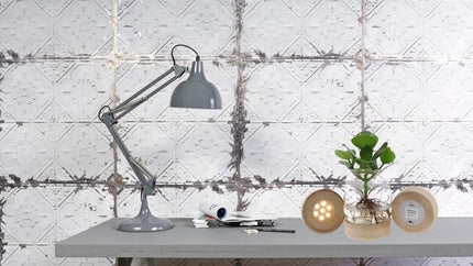 Clusia im Kingston Glas mit LED – Ø12cm – ↕30cm – Hydrokultur im dekorativen Glasgefäß – Pflegeleichte Zimmerpflanze für Wohnzimmer, Büro & Wintergarten