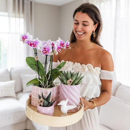 Candy Dekotopf – Hoch – Rosa – Ø9cm – Keramik Übertopf – Runde Form – Farbenfrohes Design – Für Zimmerpflanzen & Orchideen