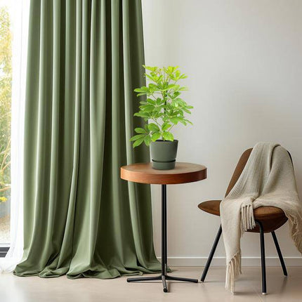 Strahlenaralie – Schefflera Nora – Zimmerpflanze – Ø13cm – ca. 45cm hoch – pflegeleichte tropische Grünpflanze für Zuhause & Büro