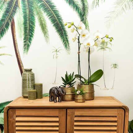 Blumentopf Groove – Gold – Ø9cm – Runder Keramik-Ziertopf mit Rillenstruktur – Mattes Finish – Dekotopf für Orchideen & Grünpflanzen – Für Wohnzimmer & Büro