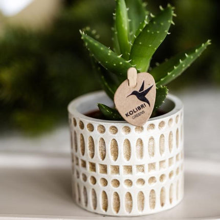 Dekotopf Mosaik – Ø6cm – Blumentopf mit goldenen Mosaikdetails – Stilvoller Mini Pflanztopf für Sukkulenten & kleine Pflanzen
