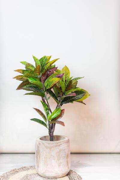 Kunstpflanze Croton Codiaeum – Wunderstrauch – 95cm – Hochwertige künstliche Pflanze mit bunt gefärbten Blättern & Holzstamm – Immergrüne Dekopflanze für Wohnzimmer, Büro & Innenräume – Pflegefrei & langlebig