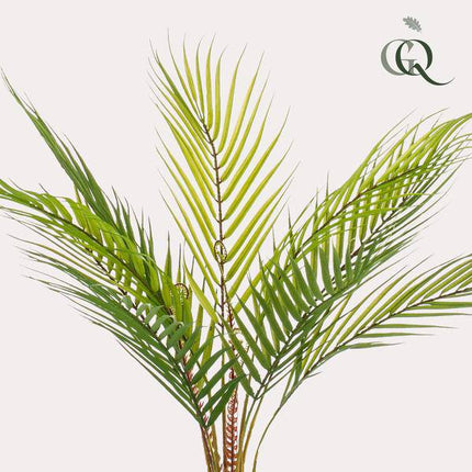 Kunstpflanze Chamaedorea Elegans – Bergpalme – 50cm – künstliche Mini – Palme mit naturgetreuen Fiederblättern – pflegefrei